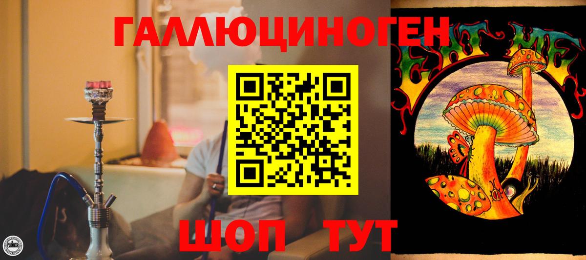 хочу наркоту  Псилоцибиновые грибы ЛСД  Вход с VPN  Псилоцибиновые грибы мухоморы  Джанкой 