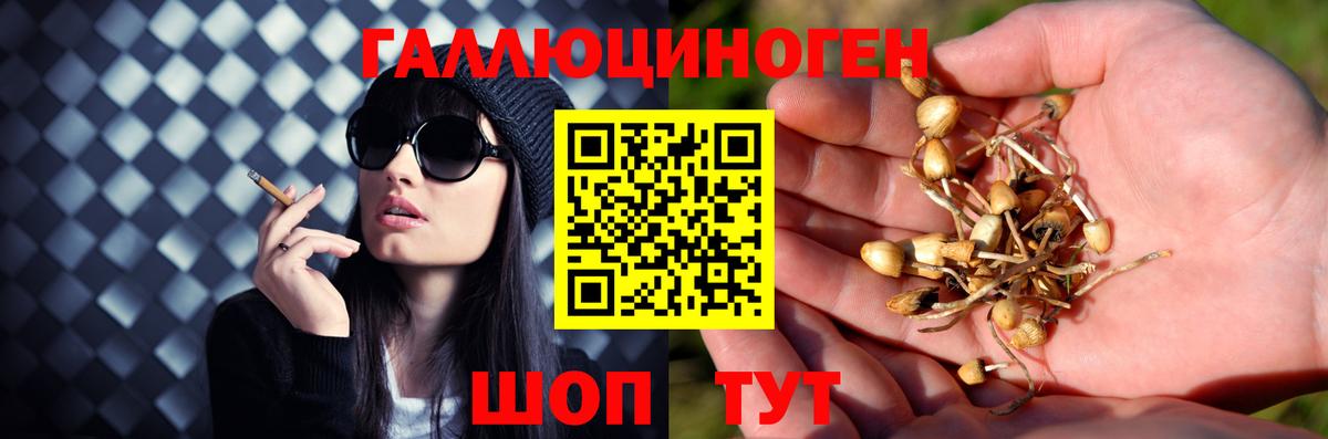 Галлюциногенные грибы MAGIC MUSHROOMS Джанкой